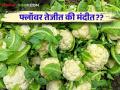 Cauliflower Market : राज्यातील बाजारात फ्लॉवरची आवक किती; काय भाव ते वाचा सविस्तर - Marathi News | Cauliflower Market: What is the arrival of cauliflower in the state market; Read the price in detail | Latest agriculture News at Lokmat.com