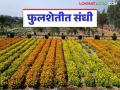 Floriculture : फुलांच्या नवीन संशोधनाला आला बहर; देणार भरघोस उत्पादन वाचा सविस्तर - Marathi News | Floriculture: latest news New research on flowers has come to fruition; Will yield bountiful harvests Read in detail | Latest agriculture News at Lokmat.com