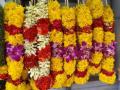 माटुंग्याच्या हारवाला गल्लीतील मोठ्या हारांना सर्वाधिक मागणी - Marathi News |  The biggest demand for big necklaces in the lane of Matunga | Latest mumbai News at Lokmat.com