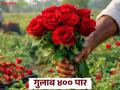 मागणीच्या तुलनेत आवक घटल्याने फूल बाजारात भाववाढ; वाढत्या तापमानामुळे शेतकऱ्यांच्या उत्पादनात मात्र घट - Marathi News | Prices increase in the flower market as arrivals fall compared to demand; however, farmers' production decreases due to rising temperatures | Latest agriculture News at Lokmat.com