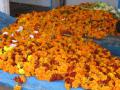 उपराजधानीत शेतकऱ्यांनी आणलेली फुले झाली कचरामोल - Marathi News | The flowers brought by the farmers were wasted in Nagpur | Latest nagpur News at Lokmat.com