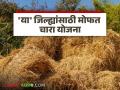 'या' जिल्ह्यांसाठी मोफत चारा आणि इलेक्ट्रिक चारा कापणी यंत्रे मिळणार, वाचा सविस्तर  - Marathi News | Latest News districts will get free fodder and electric fodder harvesting machines, read in detail | Latest agriculture News at Lokmat.com