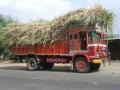 बंदी असतानाही बुलडाणा जिल्ह्यातील चारा परजिल्ह्यात - Marathi News | Despite the ban, the fodder transported out of Buldhana district | Latest buldhana News at Lokmat.com