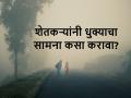 किकुलॉजी: सावधान, थंडीमुळे वाढतेय धुके, अशी सांभाळा आपली पिके - Marathi News | Kikulogy: how to save crop from fog revels Prof Kirankumar Johare | Latest agriculture News at Lokmat.com