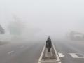 लोणावळा परिसरात धुक्याची दाट चादर    - Marathi News | Dark Fog in Lonavla area | Latest maharashtra News at Lokmat.com