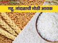 मुंबई बाजार समितीमध्ये गहू, तांदळाची सर्वाधिक आवक, कसा मिळतोय बाजारभाव - Marathi News | Maximum arrival of wheat, rice in Mumbai market committee, how the market price is getting | Latest agriculture News at Lokmat.com