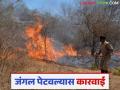 Agriculture News : जंगलात आग लावण्याचं काम करू नका, अन्यथा... वनविभागाकडून आवाहन  - Marathi News | Latest News Action will be taken if forest fires are set by Forest Department see details | Latest agriculture News at Lokmat.com