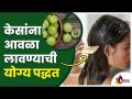 केसांना आवळा लावण्याची योग्यपद्धत| How you can use amla for strong, shiny and healthy hair? - Marathi News | Proper Hair Loss | How can you use amla for strong, shiny and healthy hair? | Latest oxygen Videos at Lokmat.com