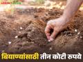नाशिकच्या बाधित शेतकऱ्यांना मोफत बियाण्यांसाठी तीन कोटी रुपये, डीबीटीद्वारे मिळणार  - Marathi News | Latest News Agriculture News Affected farmers of Nashik will get Rs 3 crore for free seeds through DBT | Latest agriculture News at Lokmat.com