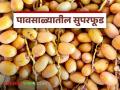 पावसाळ्यातील सुपरफूड म्हणून ओळखले जाणारे 'हे' फळ खाण्याचे फायदे; वाचा सविस्तर - Marathi News | Benefits of eating this fruit, known as the monsoon superfood; Read in detail | Latest agriculture News at Lokmat.com