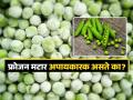 फ्रोजन मटार खाणं तब्येतीसाठी घातक की चांगलं? या प्रश्नाचं उत्तर तुम्हाला माहिती हवंच.. - Marathi News | How different are frozen peas from fresh peas? Is it safe or not to eat them? | Latest food News at Lokmat.com