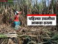 स्वाभिमानीच्या ऊस परिषदेत एकरकमी पहिल्या उचालीचा आकडा ठरला सोबत 'या' १८ ठरावांना मंजुरी; वाचा सविस्तर - Marathi News | The first lump sum frp hike was decided at Swabhimani's sugarcane conference along with the approval of 'these' 18 resolutions; Read in detail | Latest agriculture News at Lokmat.com
