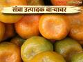 fruit Crop Damage : ३७ हजार हेक्टरची फळगळतीची नुकसान भरपाई कधी? - Marathi News | Fruit Crop Damage: 37 thousand hectares of fruit loss compensation when get farmer? | Latest agriculture News at Lokmat.com