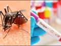 नागपूर शहराच्या तुलनेत ग्रामीणमध्ये पसरतोय डेंग्यू - Marathi News | dengue is spreading in rural areas compared to nagpur city | Latest nagpur News at Lokmat.com