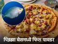 Fish Powder in Pizza : पिझ्झा बेसमध्ये फिश पावडरचे बोल्ड फ्यूजन; जाणून घ्या रेसिपी - Marathi News | Fish Powder in Pizza base food aquaculture product in food industry | Latest agriculture News at Lokmat.com