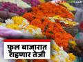 पावसामुळे फुलशेतीचे नुकसान; आवक झाली कमी, सणाच्या तोंडावरच वाढणार भाव - Marathi News | Rains cause damage to flower farming; arrivals are low, prices will increase just before the festival | Latest agriculture News at Lokmat.com