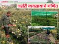 Nursery Business : शिक्षण बारावी, आता नर्सरी व्यवसायातून लाखो रुपयांची उलाढाल! वाचा सविस्तर - Marathi News | Latest News Nursery Business Profit of nine lakhs per year from nursery business, know the details | Latest agriculture News at Lokmat.com