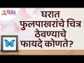 घरात फुलपाखरांचे चित्र ठेवण्याचे फायदे कोणते? Benefits of Butterfly Pictures in Home | Lokmat Bhakti - Marathi News | What are the benefits of having a picture of a butterfly in the house? Benefits of Butterfly Pictures in Home | Lokmat Bhakti | Latest bhakti Videos at Lokmat.com