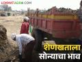 पुढील हंगामाची तयारी; शेणखत ट्रॉलीला मिळतोय असा भाव - Marathi News | Preparing for next season; What is the price of farm yard manure trolley? | Latest agriculture News at Lokmat.com