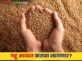 Wheat Export : वर्षभरात गव्हाची निर्यात घटली  - Marathi News | Wheat Export: Wheat export decreased during the year  | Latest agriculture News at Lokmat.com