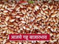 Gahu Market : मुंबई बाजारात लोकल अन् पुण्यात शरबती गव्हाला काय दर मिळतोय?  - Marathi News | latest News gahu market see local and sharbati gahu market in Mumbai and Pune | Latest agriculture News at Lokmat.com