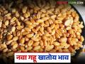 Gahu Bajar Bhav : नवीन गहू बाजारात खातोय भाव? वाचा नव्या गव्हाला कसा मिळतोय दर? - Marathi News | Ghau Bajar Bhav : Is the new wheat getting a good price in the market? Read: How is the new wheat getting a good price? | Latest agriculture News at Lokmat.com