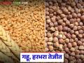 गहू व हरभरा 'ह्या' दराच्या खाली खरेदी केला तर व्यापाऱ्यांवर होणार कारवाई; जाणून घ्या सविस्तर - Marathi News | Action will be taken against traders if wheat and gram are purchased below 'this' price; Read today's wheat and gram prices | Latest agriculture News at Lokmat.com