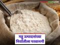 देशांतर्गत गव्हाच्या किंमती 13 ते 16 टक्क्यांनी घसरल्या, आता तीन वर्षांनंतर दिलासादायक निर्णय  - Marathi News | Domestic wheat prices fell by 13 to 16 percent, now Permission granted for wheat flour export | Latest agriculture News at Lokmat.com