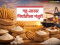 तब्बल चार वर्षाची प्रतीक्षा संपली, केंद्र सरकारकडून गहू-साखर निर्यातीला मंजुरी, दर वाढणार का?  - Marathi News | Latest news gahu Sakhar Niryat Government approves wheat exports and allows additional wheat product and sugar exports | Latest agriculture News at Lokmat.com