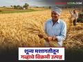 शून्य मशागत तंत्रज्ञान, कमी खर्चातून प्रति हेक्टर 71 क्विंटल गव्हाचे विक्रमी उत्पन्न, वाचा शेतकऱ्याची यशोगाथा  - Marathi News | Latest news No tillage, record yield of 71 quintals of wheat per hectare, read the farmer's success story | Latest agriculture News at Lokmat.com
