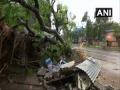 गज वादळाच्या तडाख्याने २८ जणांचा मृत्यू - Marathi News | 28 people die due to cyclonic storm | Latest national News at Lokmat.com