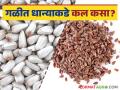Oil Seeds Crop : रब्बी हंगामातील गळीत पिकांचे क्षेत्र वाढणार का? वाचा सविस्तर - Marathi News | Oil Seeds Crop : Will the fallow crop area increase in Rabi season? Read in detail | Latest agriculture News at Lokmat.com