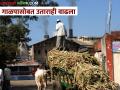 राज्यात एक कोटी गाळप; १०९४ लाख क्विंटल साखर उत्पादन - Marathi News | 1067 lakh metric tone sugarcane crushing in the state; 1094 lakh quintal sugar production | Latest agriculture News at Lokmat.com
