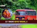 यंदाच्या गणेशोत्सवात तब्बल ६ लाख कोकणवासीयांचा STने सुखरुप प्रवास; २३ कोटींचे उत्पन्न - Marathi News | During this year's Ganeshotsav, 6 lakh Konkan residents travelled safely by ST; Income of Rs 23 crores | Latest maharashtra News at Lokmat.com