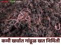 Gandul Khat Nirmiti : अमरनाथची गांडूळ निर्यातीची यशोगाथा वाचा सविस्तर - Marathi News | Gandul Khat Nirmiti: Read the success story of Amarnath's earthworm export in detail | Latest agriculture News at Lokmat.com