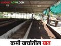 सेंद्रिय शेतीकडे वाढतोय कल; ह्या खताच्या उत्पादनातून कमवा बक्कळ पैसा - Marathi News | Growing trend towards organic farming; Earn a lot of money from the production of this fertilizer | Latest agriculture News at Lokmat.com