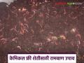 Vermicompost : जमिनीच्या आरोग्यासाठी गांडूळ खत प्रभावी उपाय! वाचा सविस्तर - Marathi News | latest news Vermicompost : Vermicompost is an effective solution for soil health! | Latest agriculture News at Lokmat.com