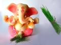 Ganesh Festival 2019 : गणरायाला आवडणाऱ्या दुर्वांचे 'हे' आरोग्यदायी फायदे तुम्हाला माहीती आहेत का? - Marathi News | Ganesh Festival 2019 : Health benefits of durva grass in marathi | Latest health News at Lokmat.com