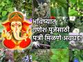 Ganesh Chaturthi 2023: २१ पत्री आणायच्या कोठून? पूजेसाठी लागणाऱ्या वनस्पती होऊ लागल्या आहेत दुर्मीळ - Marathi News | Ganesh Chaturthi 2023: Where to get 21 Patri? Plants used for worship are becoming rare | Latest bhakti News at Lokmat.com