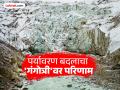 गंगेचा प्रवाह धोका? गंगोत्री ग्लेशियर १० टक्के वितळला, पाणी होतंय कमी; IIT इंदूरच्या संशोधनात काय?  - Marathi News | Ganga flow in danger! Gangotri glacier has melted 10 percent, water is getting less; What is the research of IIT Indore? | Latest national News at Lokmat.com