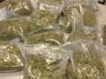 कणकवलीत गांजा विक्री करणाऱ्या एकास अटक - Marathi News | one arrested for selling marijuana in Kankavali | Latest sindhudurga News at Lokmat.com