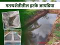 Young Farmer Success Story परदेशातील नोकरी सोडून या दोन मित्रांनी केली फायद्याची शेती - Marathi News | Young Farmer Success Story: Leaving the job abroad, these two friends started profitable farming | Latest agriculture News at Lokmat.com