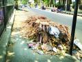 घणसोलीत पदपथांवर कचरा - Marathi News | Garbage on the footpath in Ghansoli | Latest navi-mumbai News at Lokmat.com