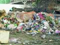 नागपूर शहरात कचऱ्याचे ढिगारे; यंत्रणा कोलमडली - Marathi News | Garbage piles in Nagpur city; The system collapsed | Latest nagpur News at Lokmat.com
