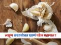 लसणाचे अनेक फायदे तर आहेच, पण 'या' 3 गोष्टींसोबत खाणं टाळा; वाचा काय म्हणाले डॉक्टर... - Marathi News | Doctor tells do not eat garlic with 3 things wrong food | Latest sakhi News at Lokmat.com