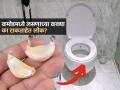 कमोडमध्ये लसणाच्या पाकळ्या का फ्लश करताहेत लोक? पाहा या ट्रेंडचं नेमकं कारण... - Marathi News | Why flushing garlic is new trend on social media | Latest sakhi News at Lokmat.com