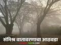 Maharashtra Weather Update : 'या' जिल्ह्यांत पाऊस, गारपिटीची शक्यता, वाचा आठवड्यातील हवामान अंदाज  - Marathi News | Latest News Maharashtra Weather Update Chance of rain, hail in 25 maharashtra districts, read details | Latest agriculture News at Lokmat.com