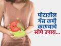 सतत गॅसेस होण्याची समस्या होईल चटकन कमी, पाहा ‘हे’ घरगुती उपाय- पचनही सुधारेल - Marathi News | These home remedies will help you get rid of stomach gas | Latest sakhi News at Lokmat.com