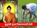 बुद्धपोर्णिमेला जाणून घेऊया गौतम बुद्धांची वैचारिक शेती - Marathi News | On Buddhapurnima, let's learn about Gautama Buddha's ideological Farming | Latest agriculture News at Lokmat.com