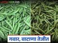मंचर कृषी उत्पन्न बाजार समितीत गवार व वाटाणा दराने केली शंभरी पार; कसा मिळाला दर? - Marathi News | cluter bean and green pea prices crossed the 100 rs in Manchar Agricultural Produce Market Committee; How did the prices get there? | Latest agriculture News at Lokmat.com